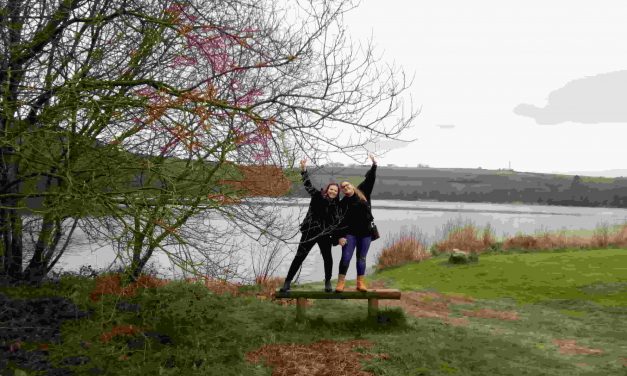 Una experiencia para compartir